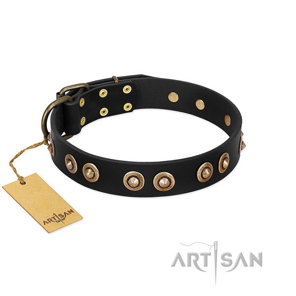 Reliable embellishments on full grain leather dog collar for your four-legged friend