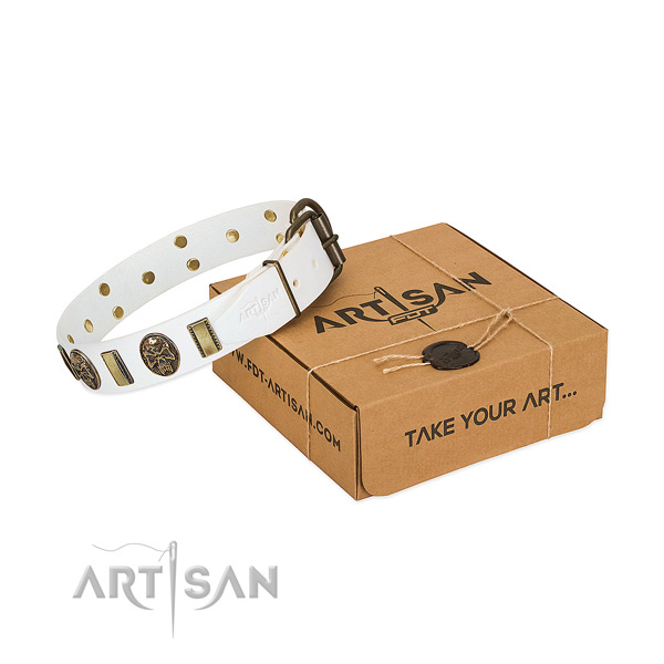 Durable D-ring on natural genuine leather dog collar for everyday walking