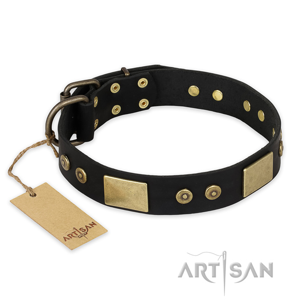 Unusual full grain genuine leather dog collar for everyday walking