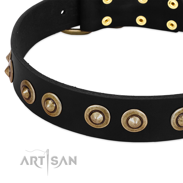 Reliable D-ring on natural genuine leather dog collar for your four-legged friend