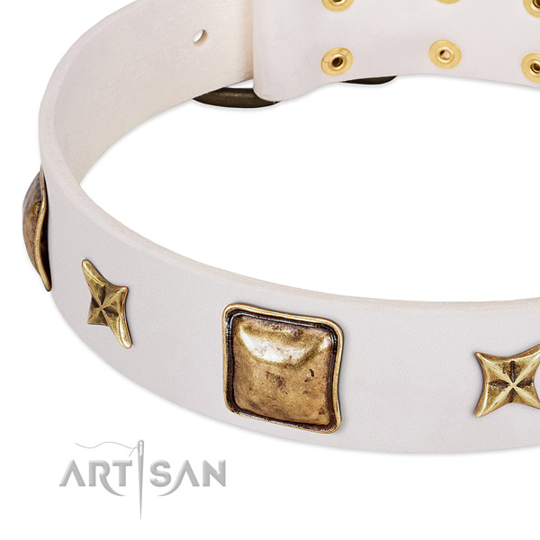 Rust-proof hardware on full grain genuine leather dog collar for your pet