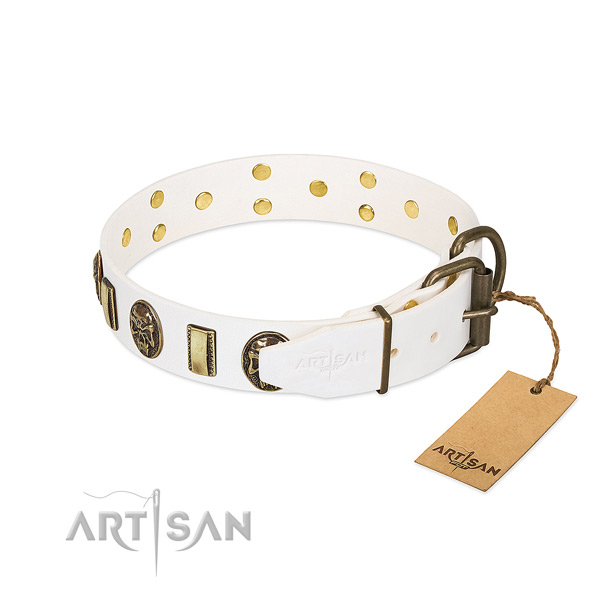 Strong D-ring on full grain genuine leather collar for walking your dog