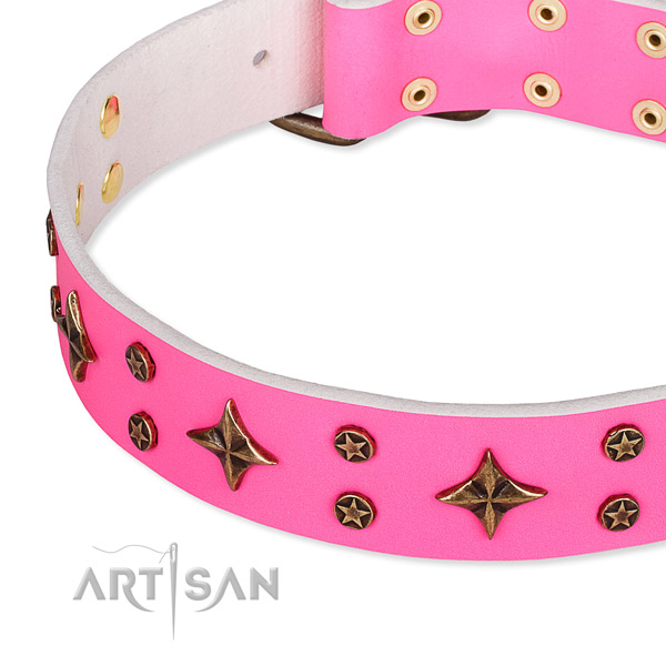 Fancy walking studded dog collar of best quality genuine leather
