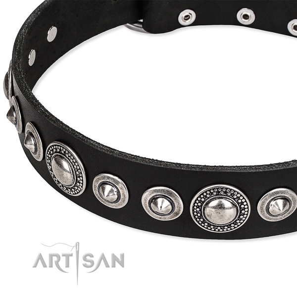 Fancy walking adorned dog collar of high quality full grain genuine leather