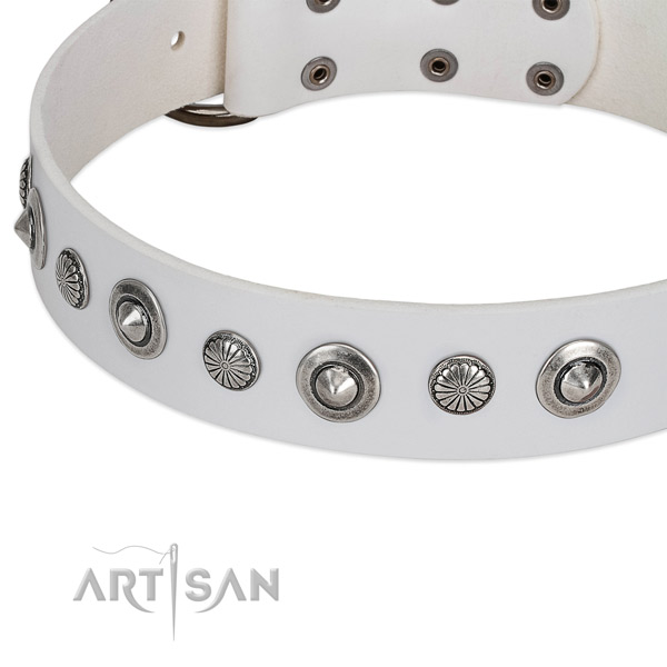 Natural leather collar with reliable D-ring for your beautiful four-legged friend