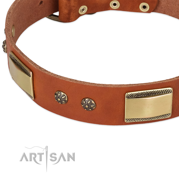 Durable buckle on genuine leather dog collar for your dog
