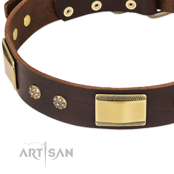 Rust resistant buckle on full grain genuine leather dog collar for your four-legged friend