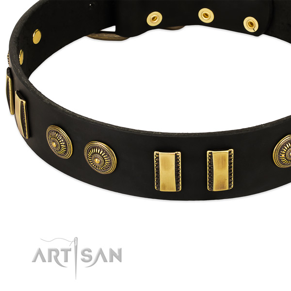 Corrosion proof hardware on leather dog collar for your pet