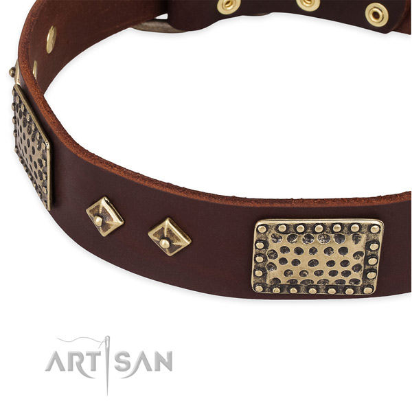 Reliable buckle on genuine leather dog collar for your dog