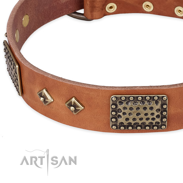 Strong D-ring on full grain leather dog collar for your dog