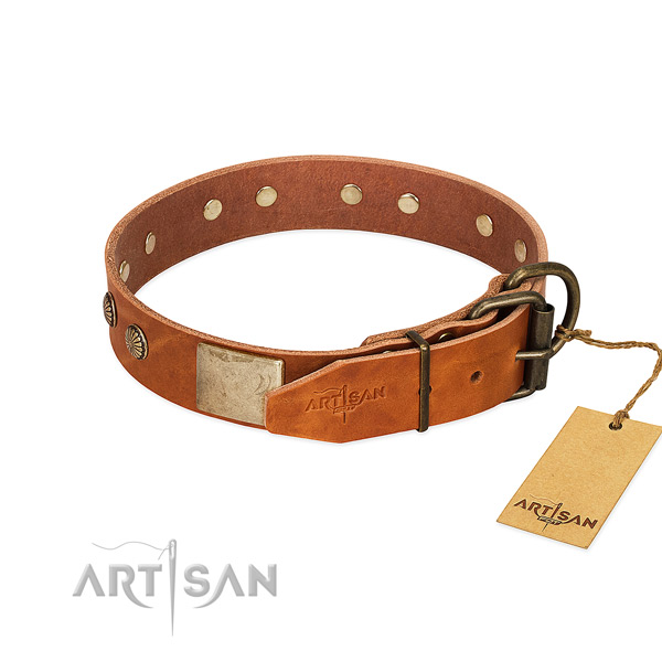Corrosion resistant D-ring on comfy wearing dog collar