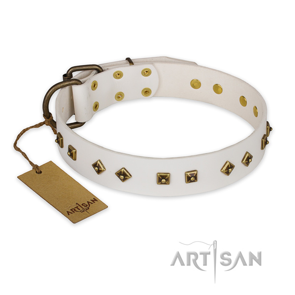 Handcrafted leather dog collar with corrosion proof D-ring