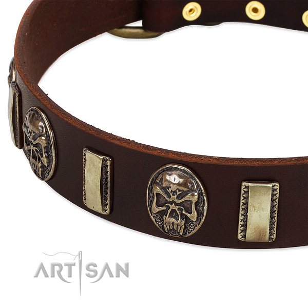 Corrosion resistant fittings on full grain genuine leather dog collar for your pet