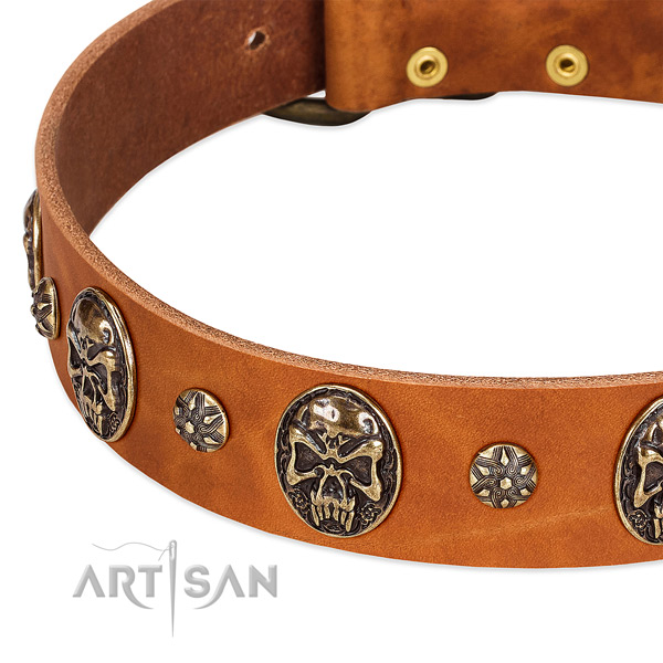 Strong decorations on leather dog collar for your doggie