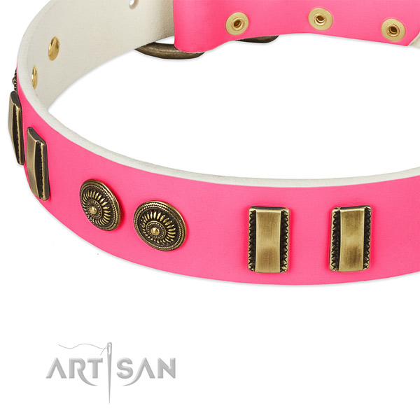 Reliable embellishments on full grain genuine leather dog collar for your doggie