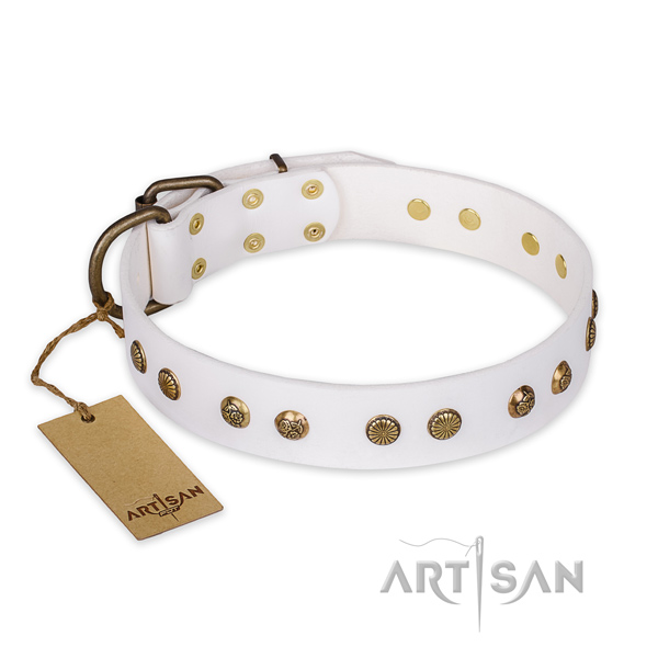 Fashionable full grain genuine leather dog collar with rust resistant traditional buckle