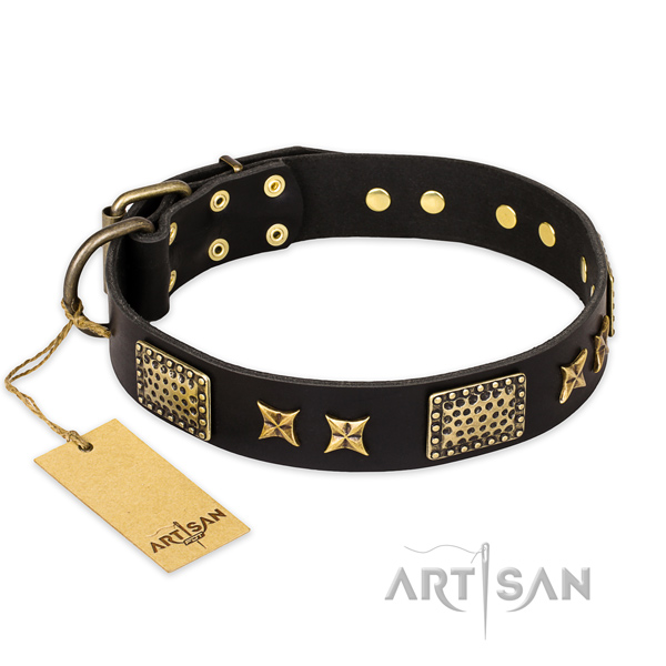 Extraordinary natural genuine leather dog collar with corrosion resistant hardware