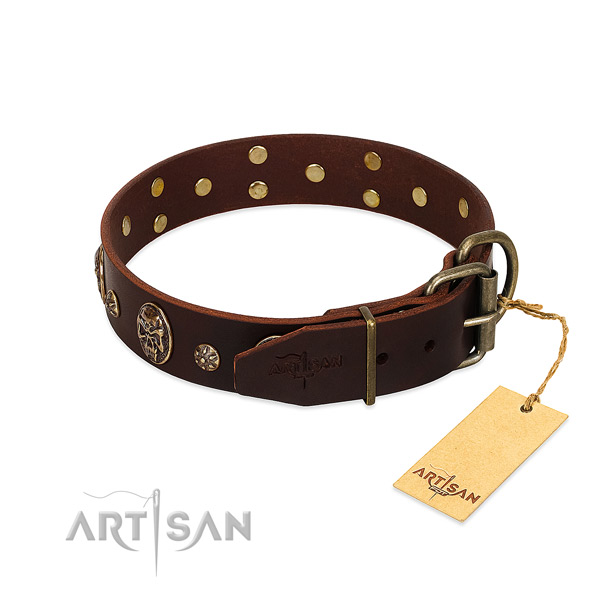 Corrosion proof decorations on full grain leather dog collar for your dog