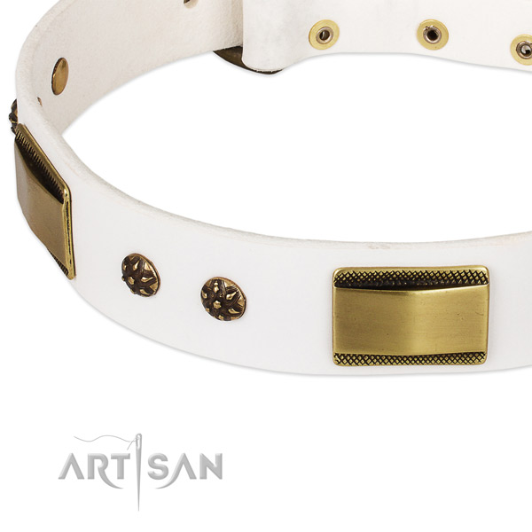 Rust-proof studs on leather dog collar for your doggie