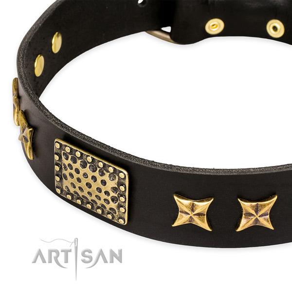 Genuine leather collar with corrosion proof fittings for your handsome dog