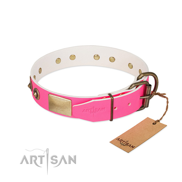Rust-proof studs on leather dog collar for your four-legged friend