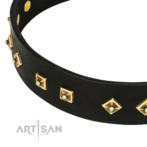 Fashionable leather collar for your handsome dog