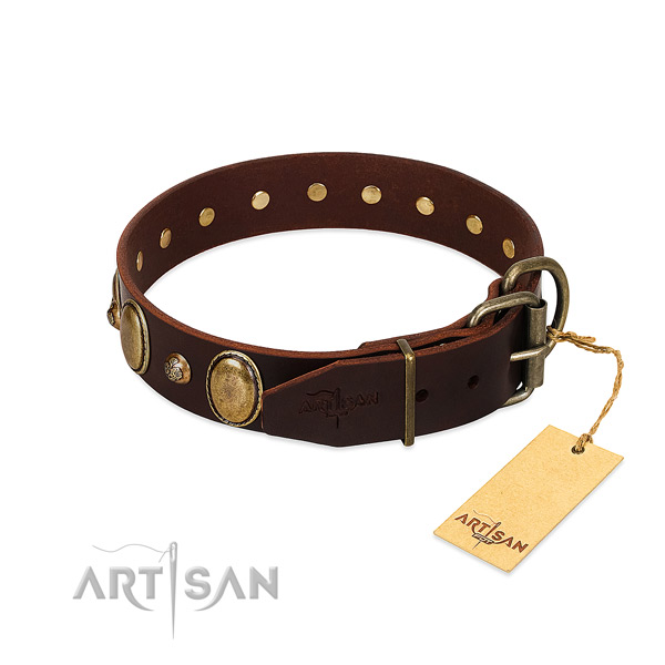 Durable D-ring on natural genuine leather collar for basic training your canine