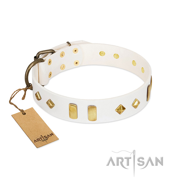 High quality full grain leather dog collar with rust-proof buckle