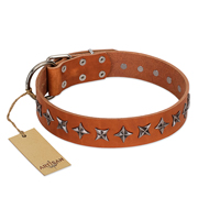 "Star Trek" FDT Artisan Tan Leather Riesenschnauzer Collar Decorated with Stars