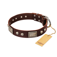 "Pirate Skull" FDT Artisan Brown Leather Riesenschnauzer Collar with Old Silver Look Plates and Skulls