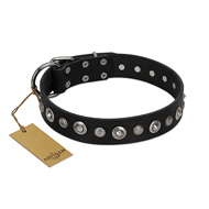 "Genteel Charm" FDT Artisan Black Leather Riesenschnauzer Collar with Silver-like Round Conchos
