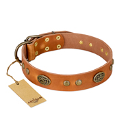 "Sun Beams" FDT Artisan Tan Leather Riesenschnauzer Collar with Decorations