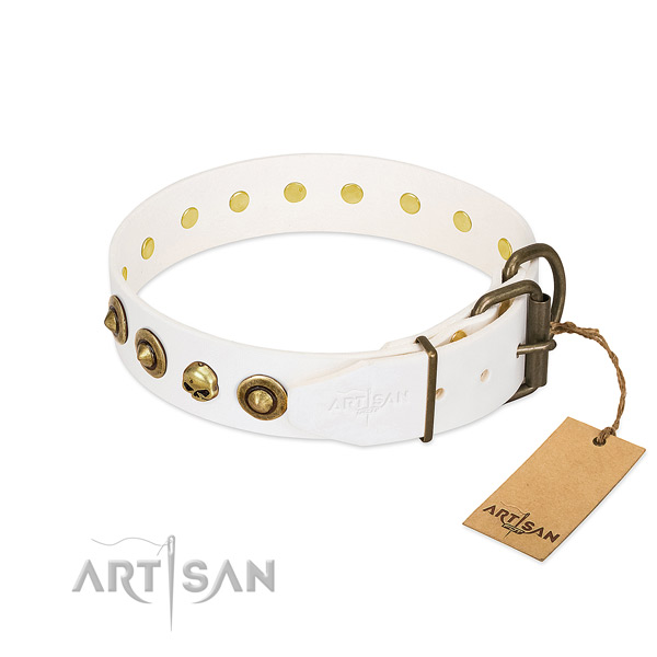 Leather collar with unusual embellishments for your canine