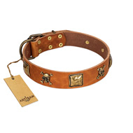 "Knights Templar" FDT Artisan Tan Leather Riesenschnauzer Collar with Skulls and Crossbones Combined with Squares