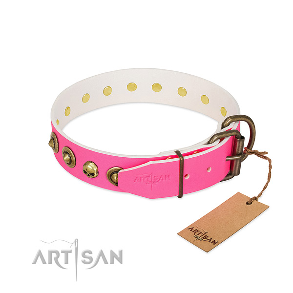 Full grain natural leather collar with unique embellishments for your dog