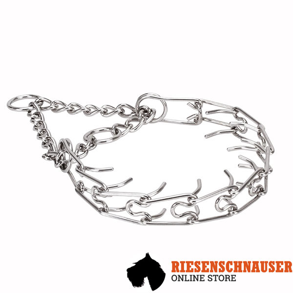 Prong collar of reliable stainless steel for poorly behaved canines