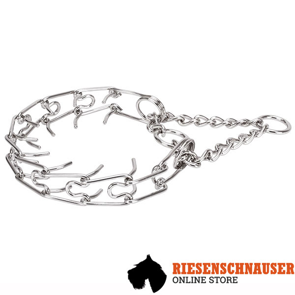 Dog prong collar of strong stainless steel for large dogs