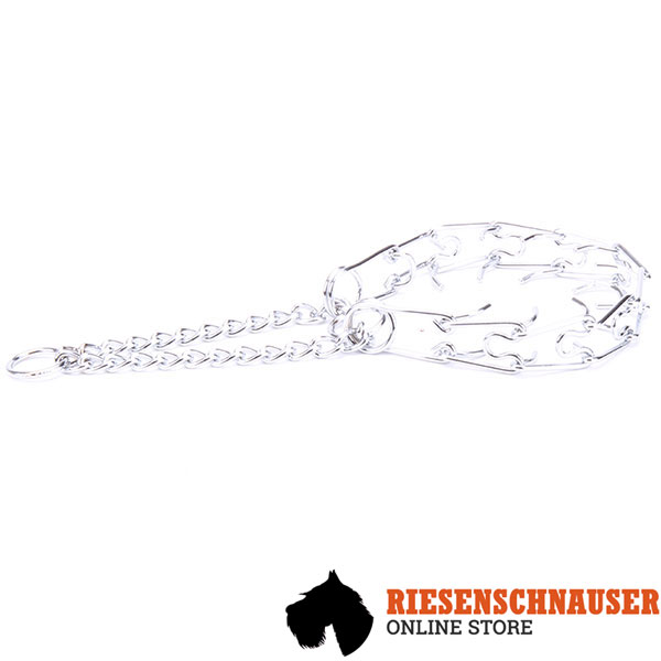 Chrome plated dog pinch collar for aggressive dogs