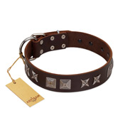 "Needle Stories" Modern FDT Artisan Brown Leather Riesenschnauzer Collar with Square Engraved Plates and Four-Point Stars