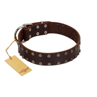 "Star Party" Handmade FDT Artisan Brown Leather Riesenschnauzer Collar with Silver-Like Studs