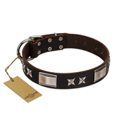 "Satin Beauts" FDT Artisan Brown Leather Riesenschnauzer Collar with Stars and Plates