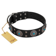 "Boundless Blue" FDT Artisan Black Leather Riesenschnauzer Collar with Chrome Plated Brooches and Square Studs
