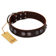 "King Arthur" FDT Artisan Brown Leather Riesenschnauzer Collar with Spiky Plates