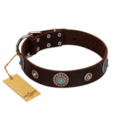 "Magic Stones" FDT Artisan Brown Leather Riesenschnauzer Collar with Chrome Plated Brooches and Studs