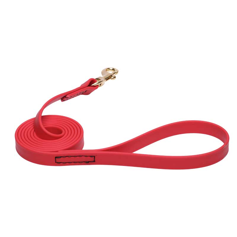 Red Waterproof Riesenschnauzer Leash Made of Biothane