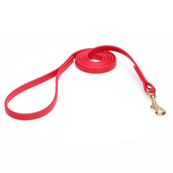 Biothane Dog Leash for Training