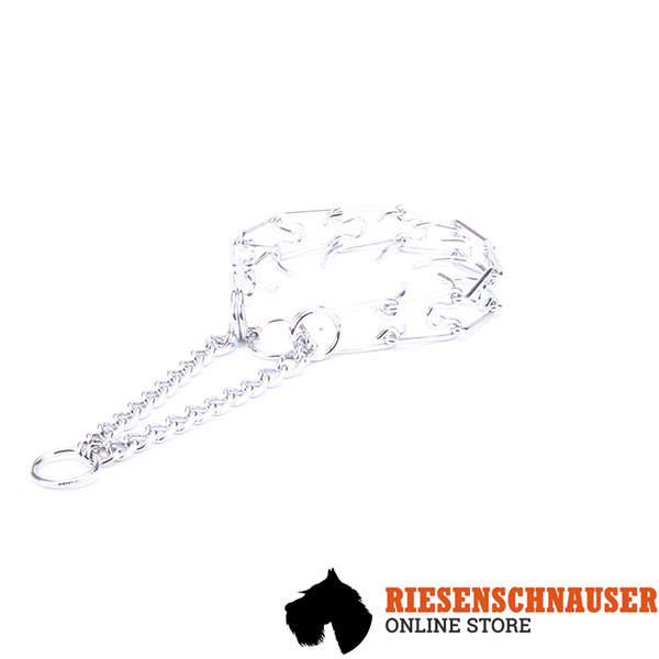 Prong collar of chrome plated steel for disobedient canines