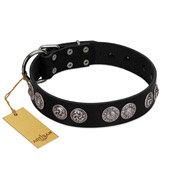 "Magic Amulete" Handcrafted FDT Artisan Black Leather Riesenschnauzer Collar with Chrome-Plated Shields