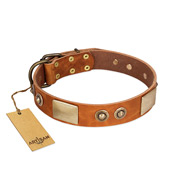 "Perfect Blend" FDT Artisan Tan Leather Riesenschnauzer Collar 1 1/2 inch (40 mm) wide