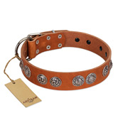 "Woofy Majesty" FDT Artisan Tan Leather Riesenschnauzer Collar with Round Silver-like Plates